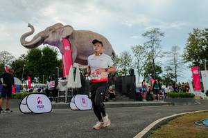 BIB: 
                            <button type="button" onclick="openModal(26528875)" class="btn btn-primary btn-sm float-right btn-popup" data-toggle="modal" data-target=".modal-high-quality">
                        <i class="fas fa-shopping-cart"></i> Add to Cart
                    </button>
                                            <button type="button" onclick="isThisMe(26528875, true)" class="btn btn-success btn-sm float-right btn-popup btn-isme hidden" data-toggle="tooltip" data-placement="bottom" title="นี่คือรูปของคุณใช่ไหม คลิกที่นี่เพื่อเอาเข้าอัลบั้ม">
                        <i class="fas fa-plus"></i> Add to album
                    </button>
                    <button type="button" onclick="isThisMe(26528875, false)" class="btn btn-warning btn-sm float-right btn-popup btn-isnotme hidden">
                        <i class="fas fa-ban"></i> Remove from album
                    </button>